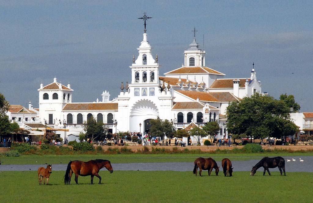 El Rocío y Parque Nacional de Doñana: Cómo Llegar en Taxi y Qué Ver 2 el Rocío y Doñana