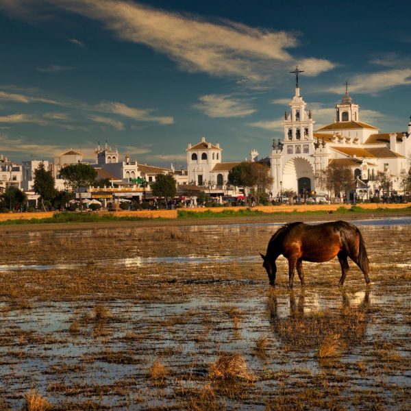 Taxi Huelva a El Rocio